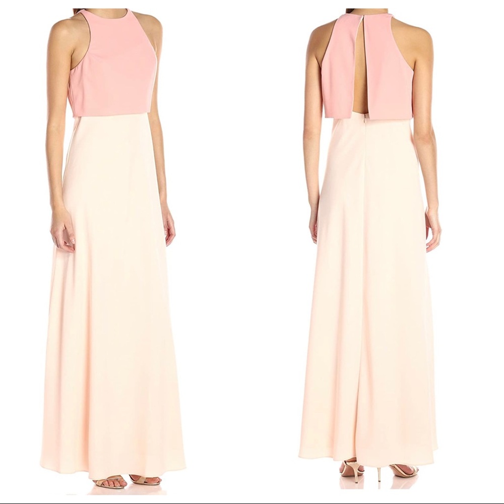 Jill Jill Stewart Blush Pink/Powder Popover Two-Tone Gown